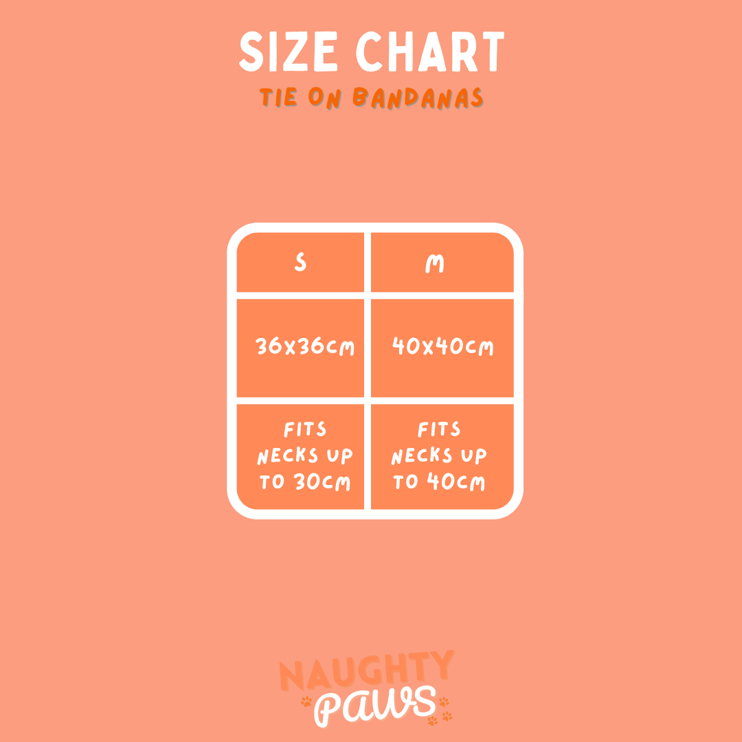 Aurora: Tie on Bandana