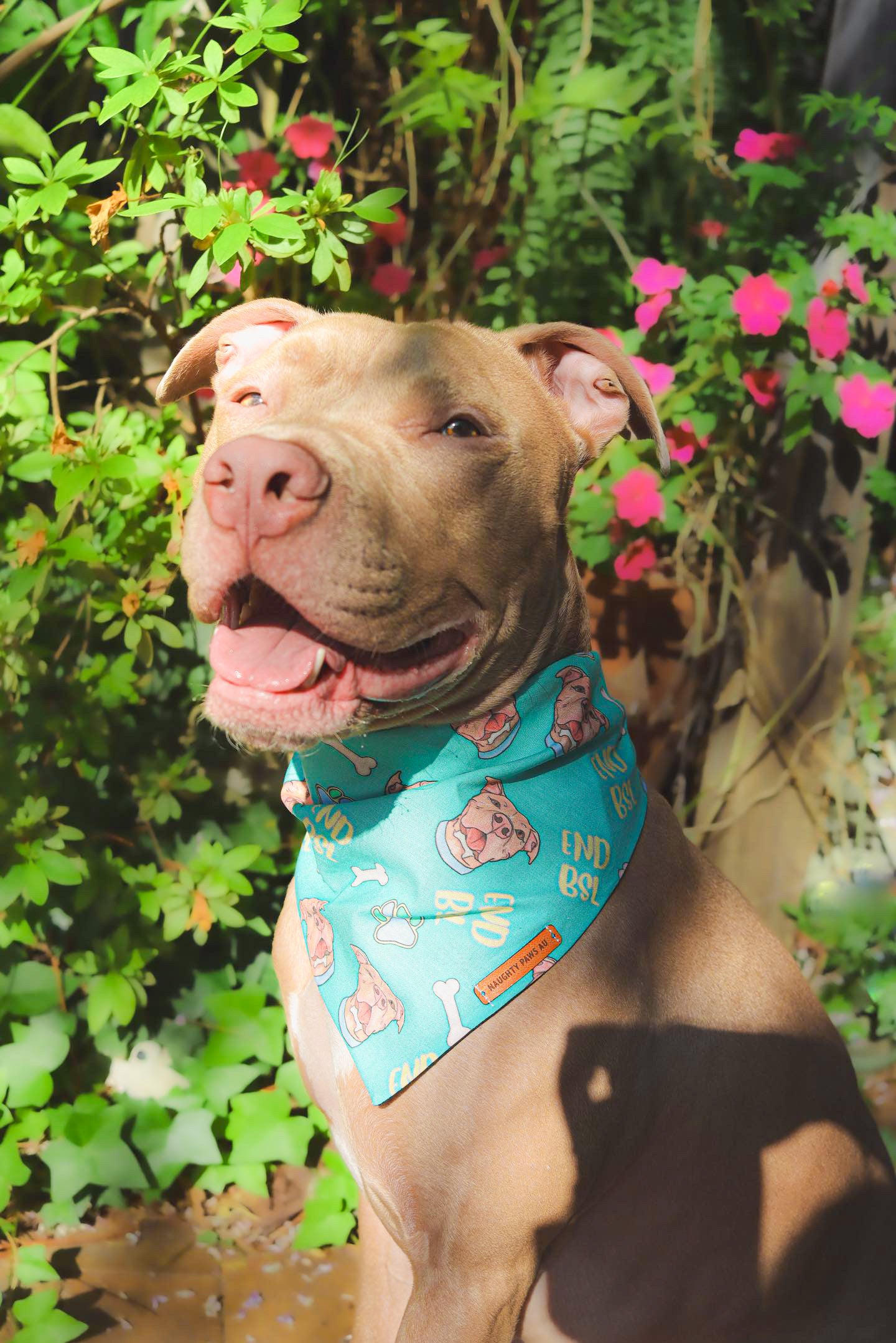 “END BSL" Pet bandana (AQUA)