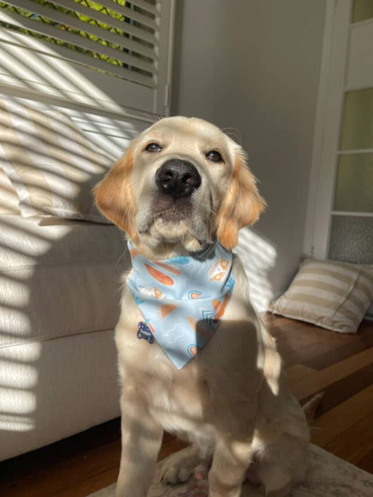 "Van Life" Pet bandana