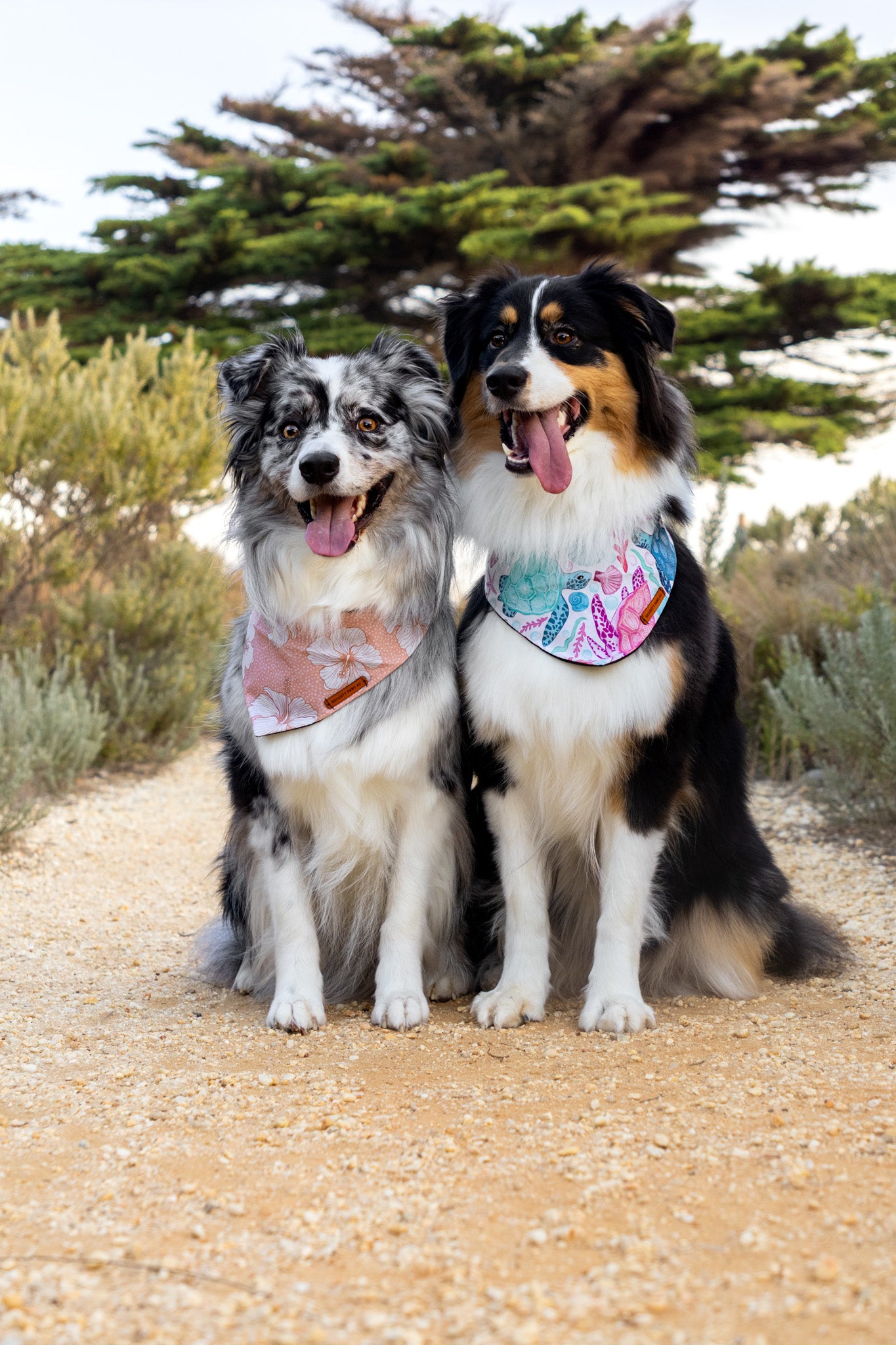 "Marina" Pet bandana