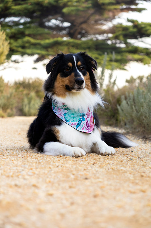"Marina" Pet bandana