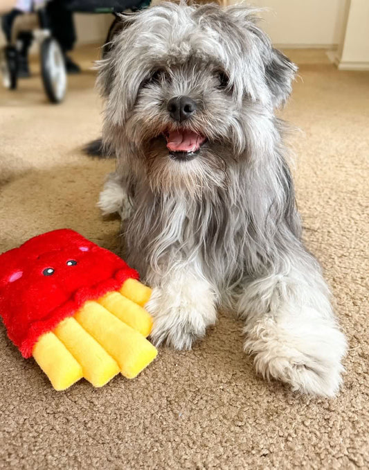 Zippy Paws NomNomz - Fries