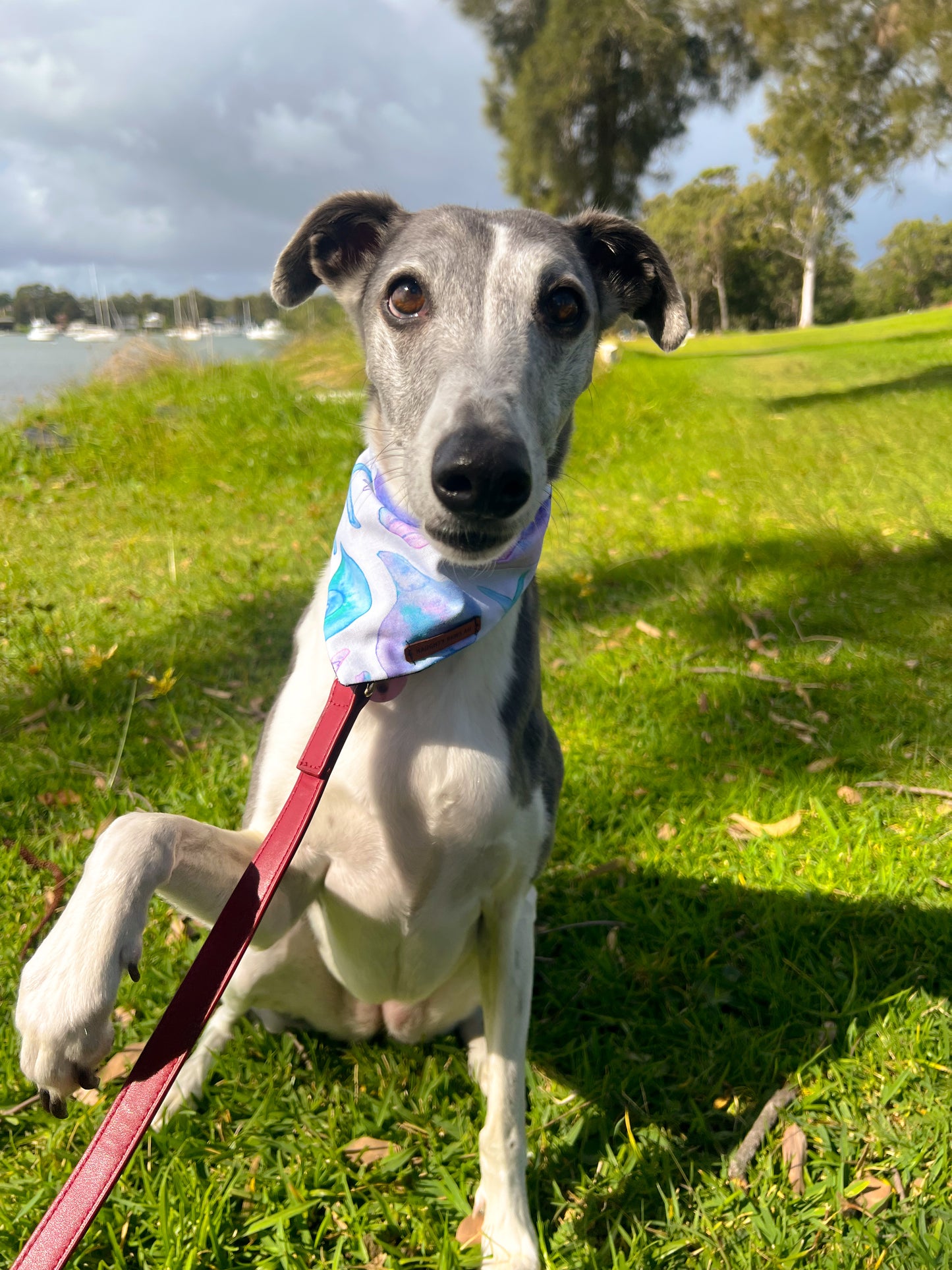 "Shells & Stars" Pet bandana