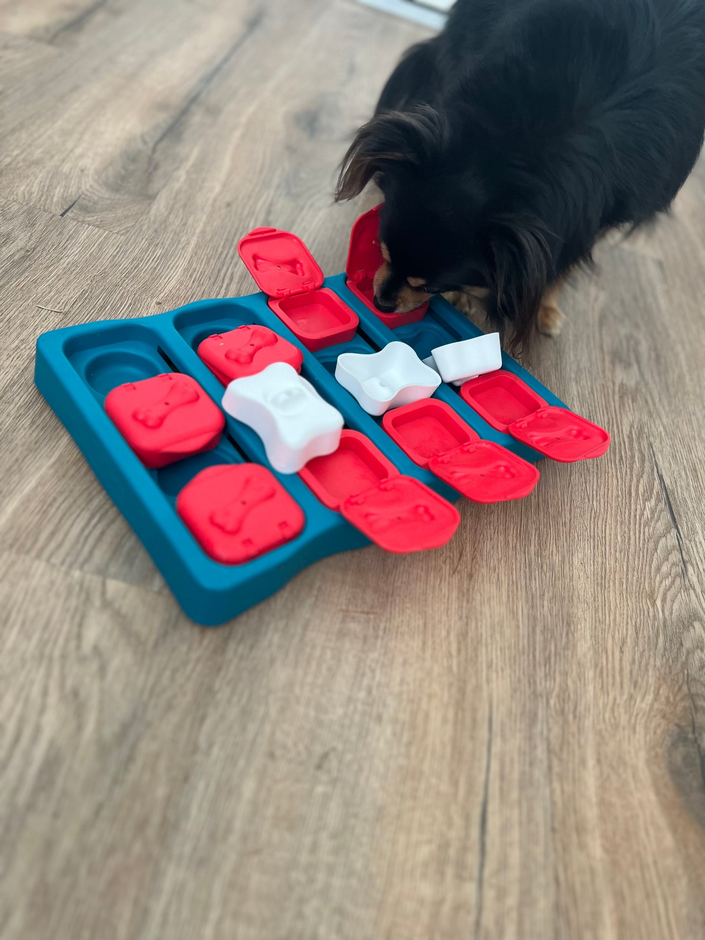 Nina Ottosson | Dog Brick Interactive Puzzle (LEVEL 2)