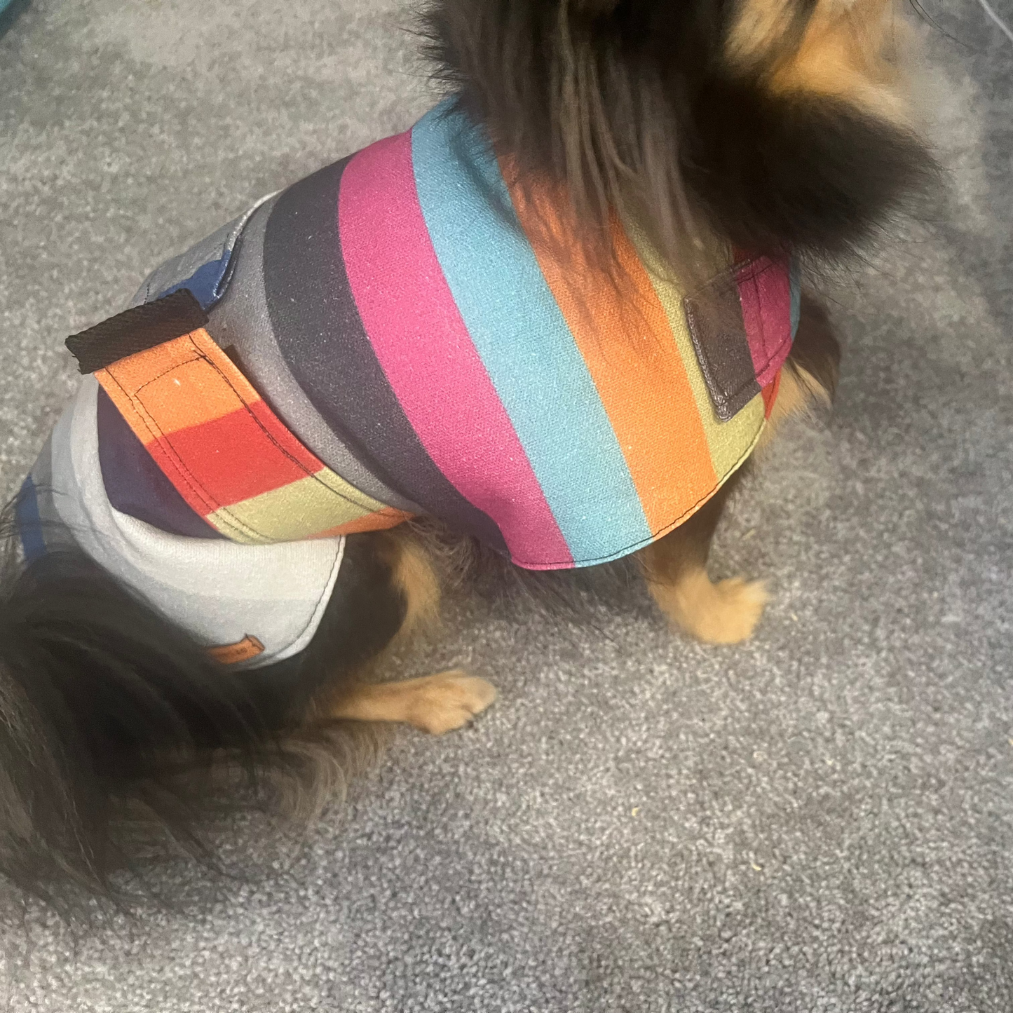 "Cairo" Water Resistant Handmade Dog coat