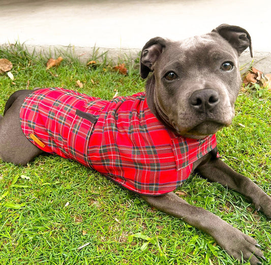 "London" Handmade Dog coat