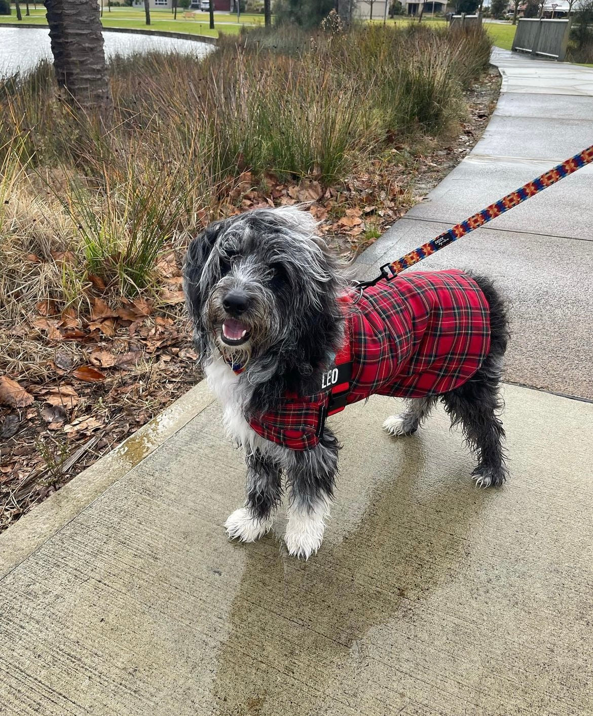 "London" Handmade Dog coat