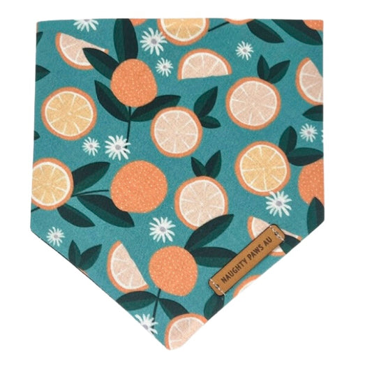 "You're My Main Squeeze" Pet bandana