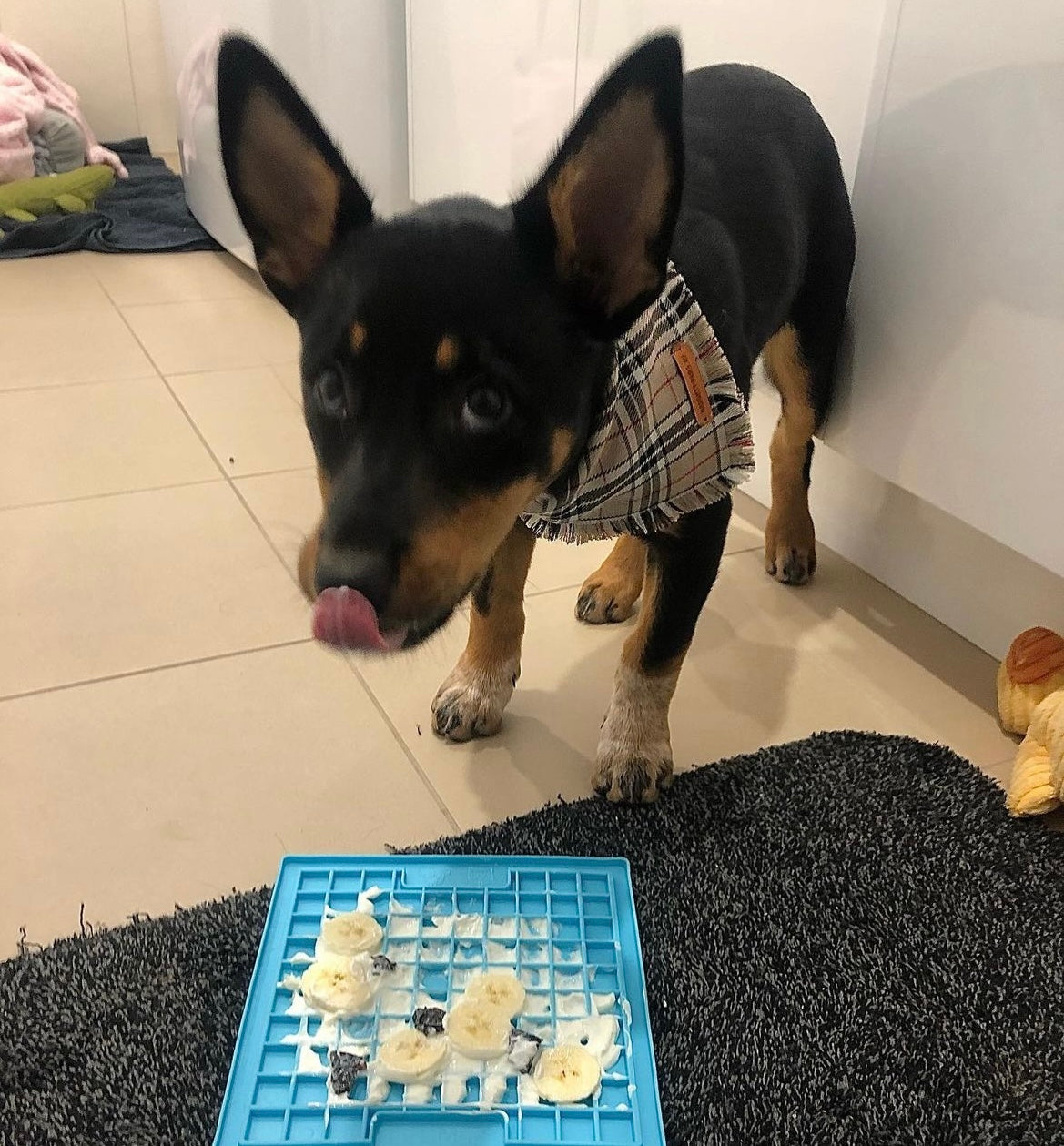 LickiMat Classic Playdate