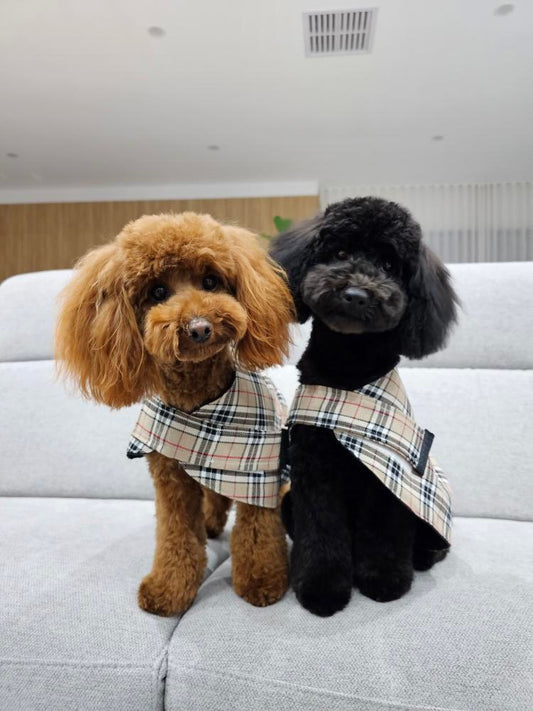 "Furrberry" Handmade Dog coat