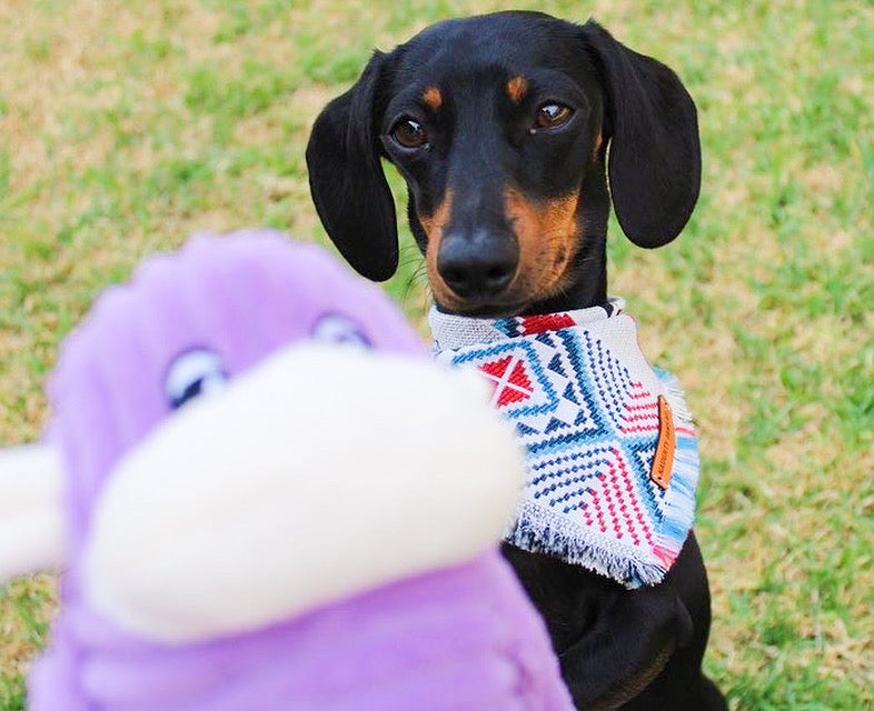 Zippy Paws Spencer the Crinkle Monkey - Purple