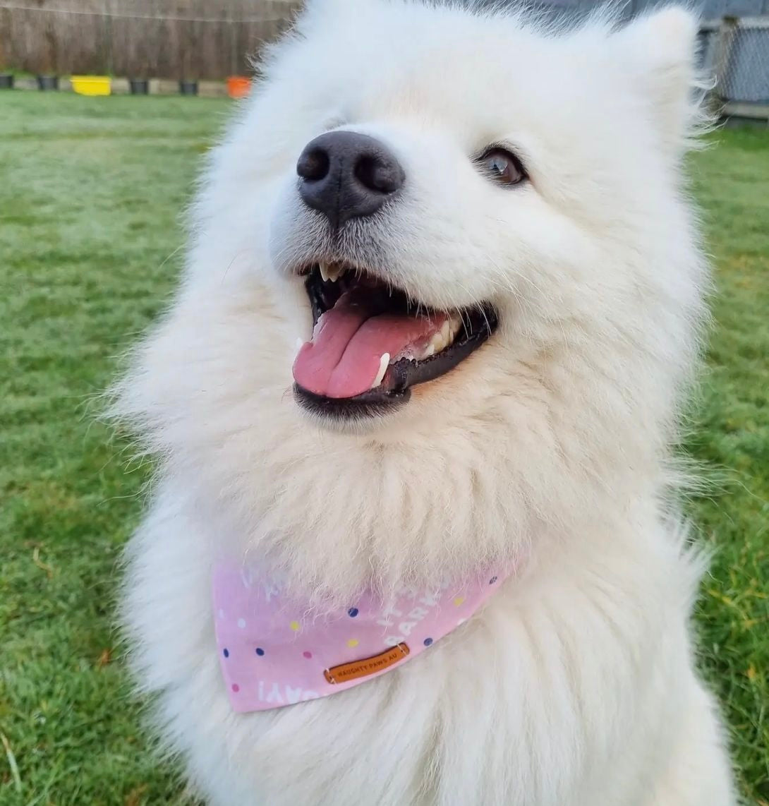 "Its my Barkday" pet bandana (PINK)
