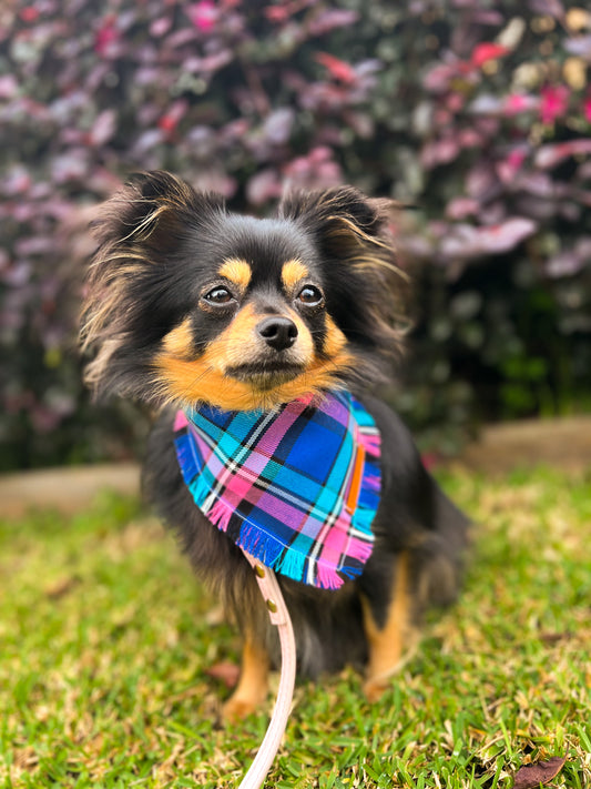 "Bubblegum" Pet bandana