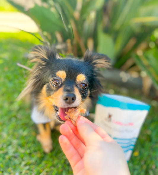 Freeze Dried Chicken Hearts 60g | Laila & Me