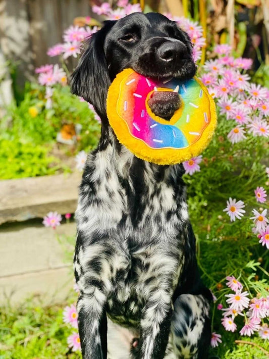 Zippy Paws - Rainbow Donutz