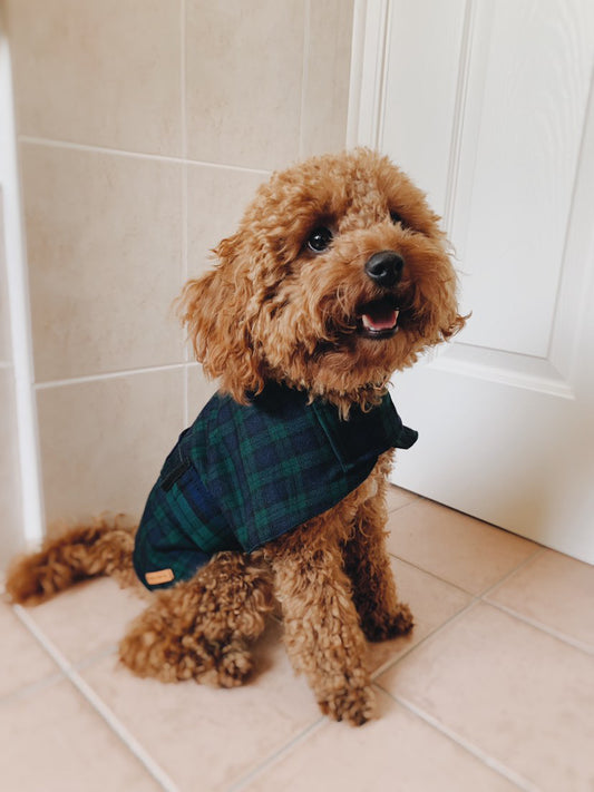 "Forest" Handmade Dog coat