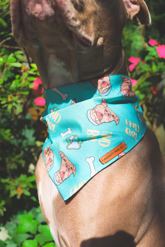 “END BSL" Pet bandana (AQUA)