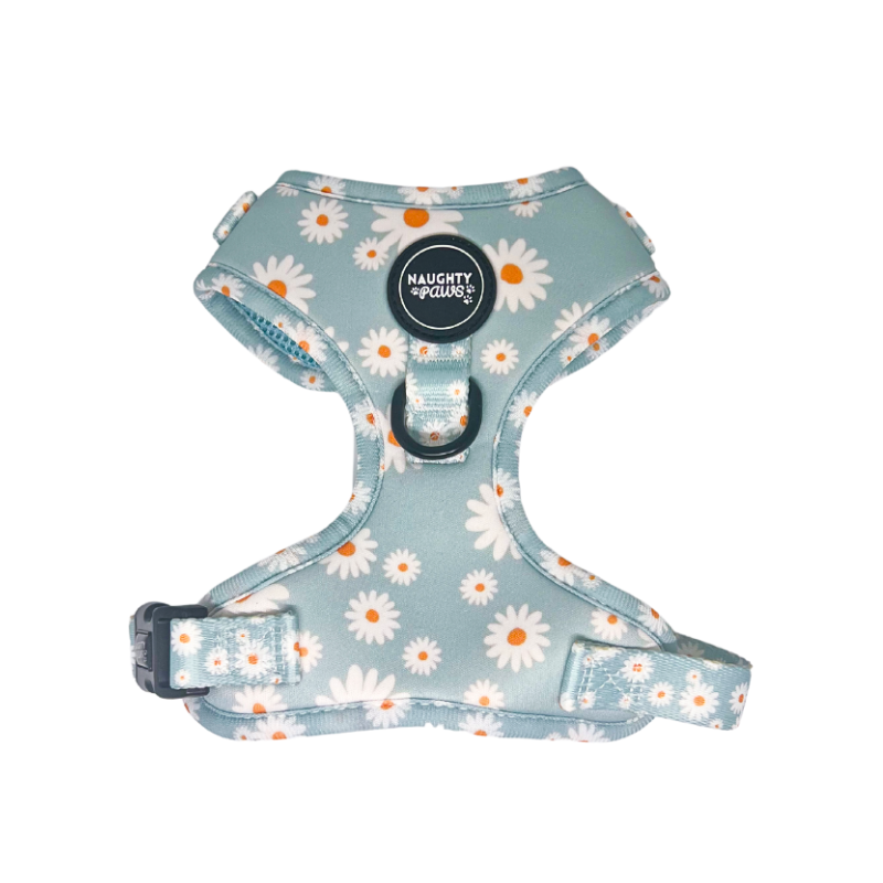 Aurora: Adjustable Harness