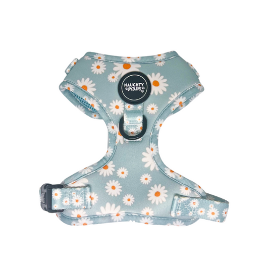 Aurora: Adjustable Harness