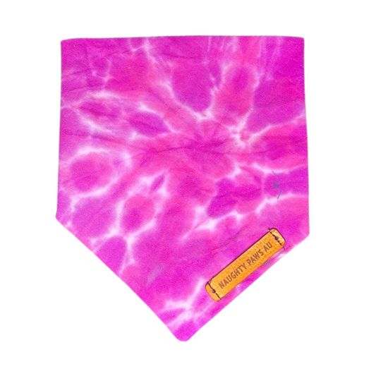 "Amethyst" XXS Pet Bandana | 4/45