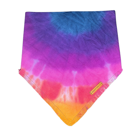 "Astra" XL Pet Bandana | 43/45