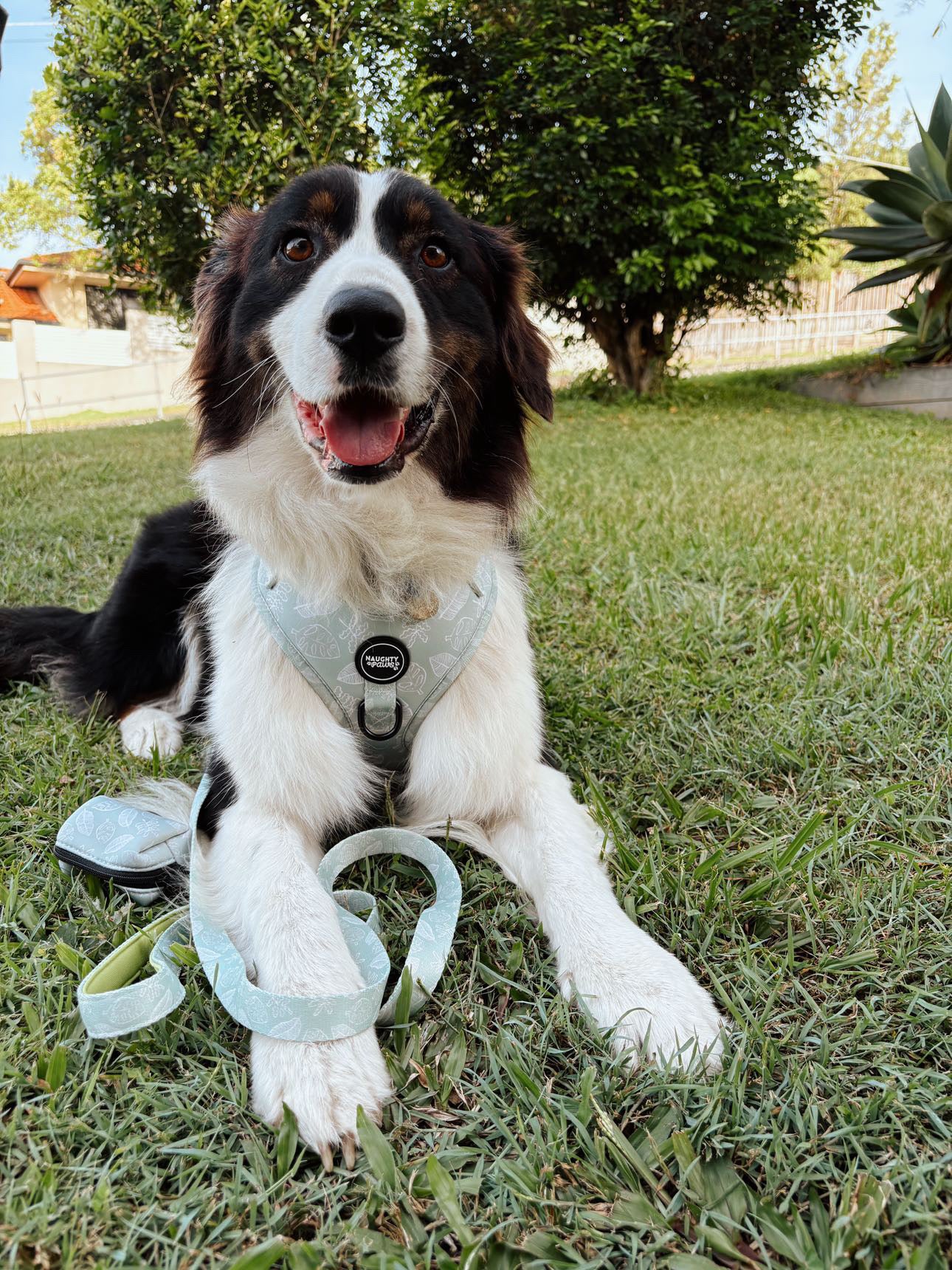 Hunter: Adjustable Harness