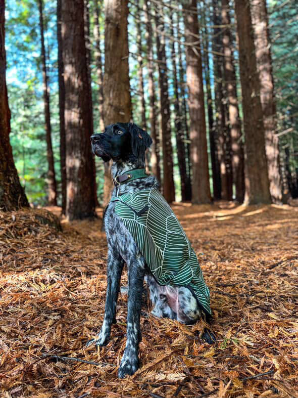 "Sorrento" Water Resistant Handmade Dog coat