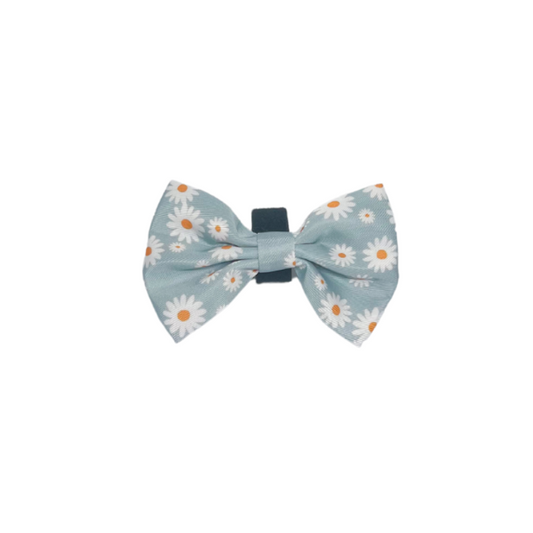 Aurora: Bow Tie