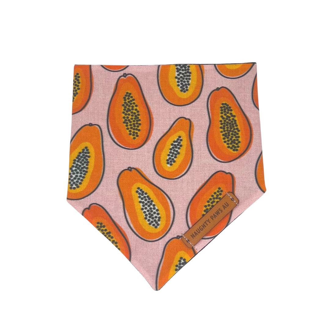 "Paw-paya" Pet bandana
