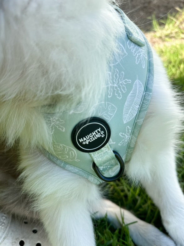 Hunter: Adjustable Harness