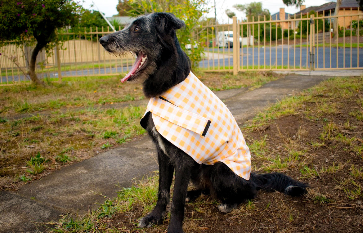 "Nonna's Tablecloth" Water Resistant Handmade Dog coat