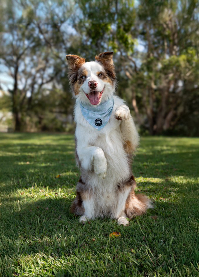 Hunter: Tie on Bandana