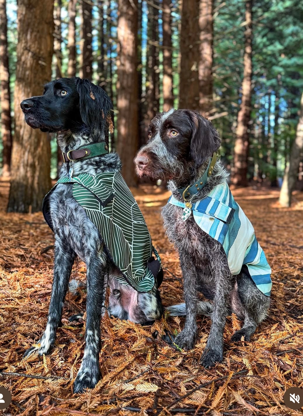 "Amalfi" Water Resistant Handmade Dog coat