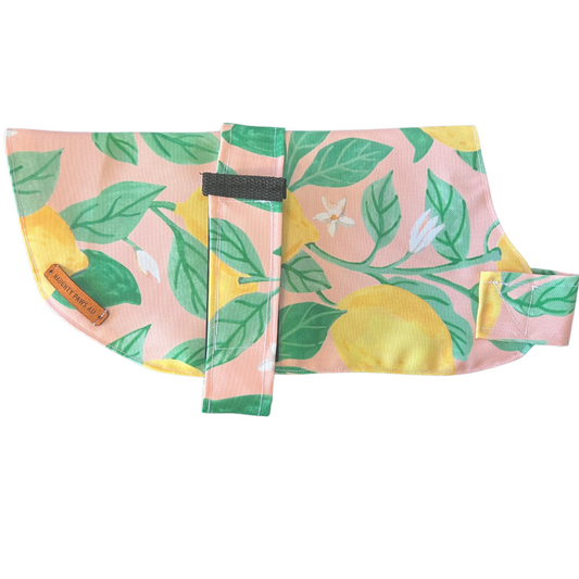 "Capri" Water Resistant Handmade Dog coat