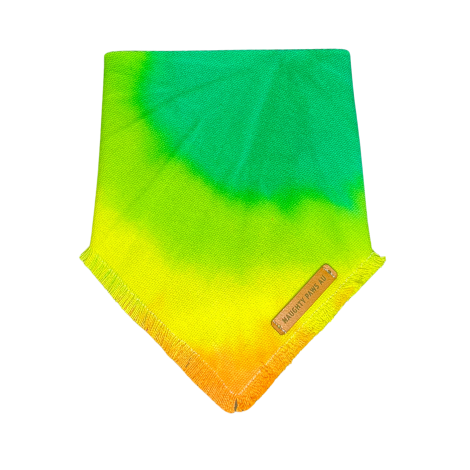 "Lemon Lime & Bitters" XS Pet Bandana | 7/45
