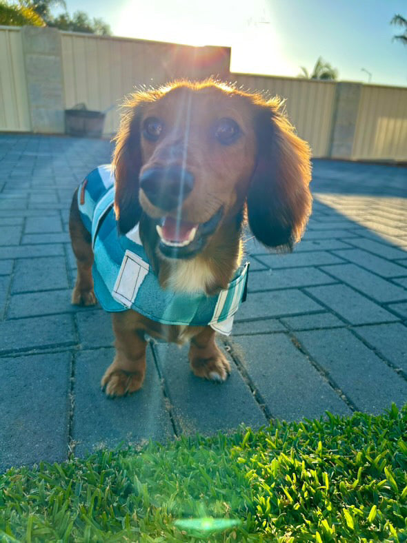 "Amalfi" Water Resistant Handmade Dog coat