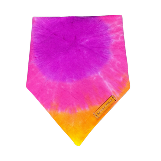 "Sorbet" S Pet Bandana | 17/45
