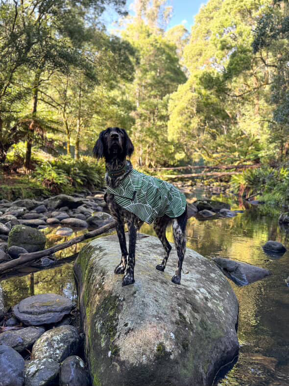 "Sorrento" Water Resistant Handmade Dog coat