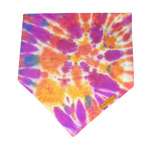 "Carnival" XL Pet Bandana | 42/45