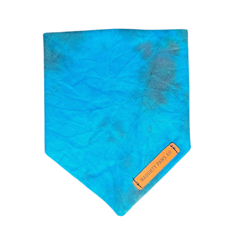 "Rip Tide" XXS Pet Bandana | 3/45