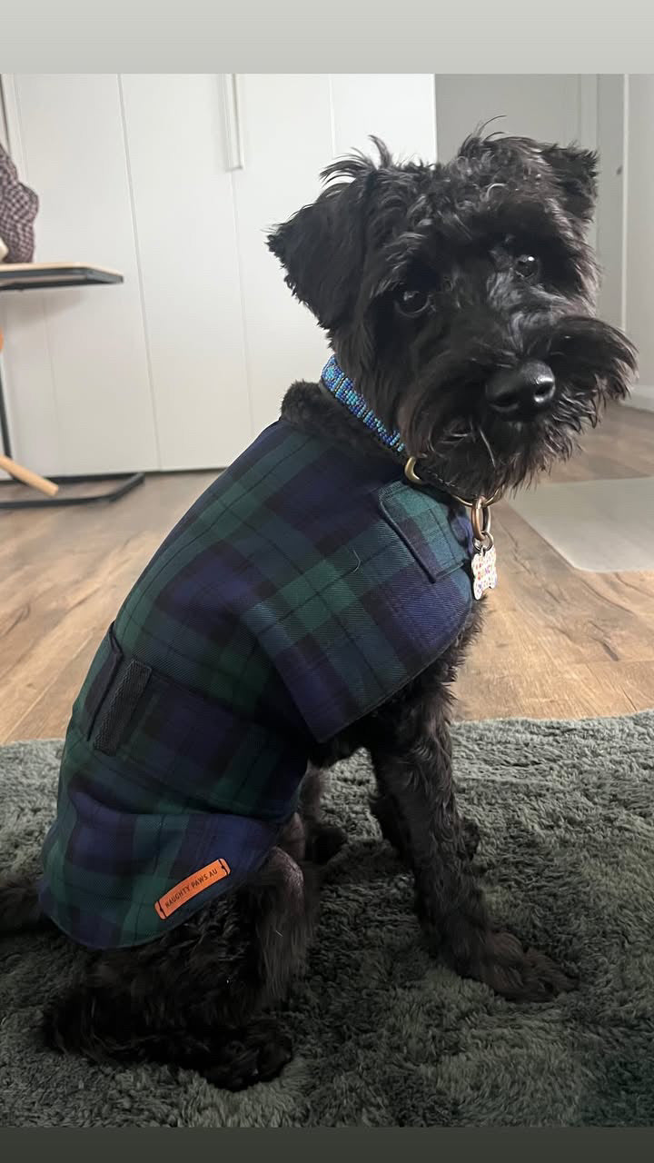 "Forest" Handmade Dog coat