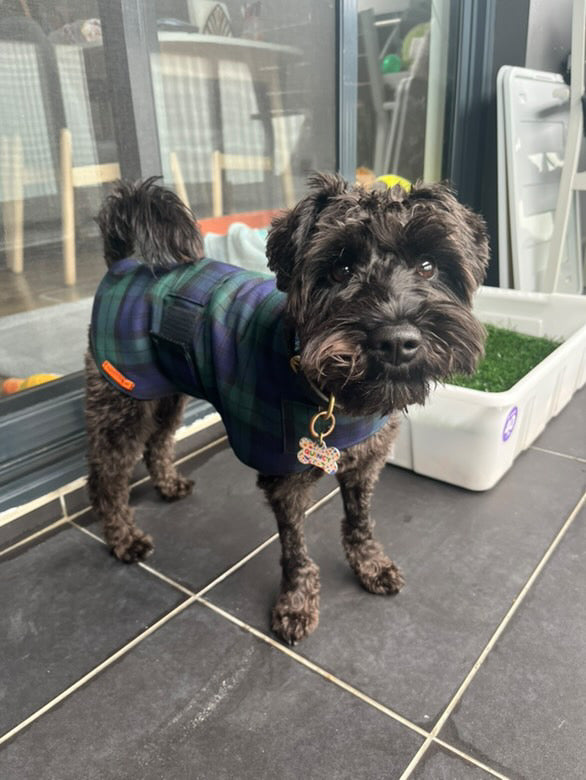 "Forest" Handmade Dog coat