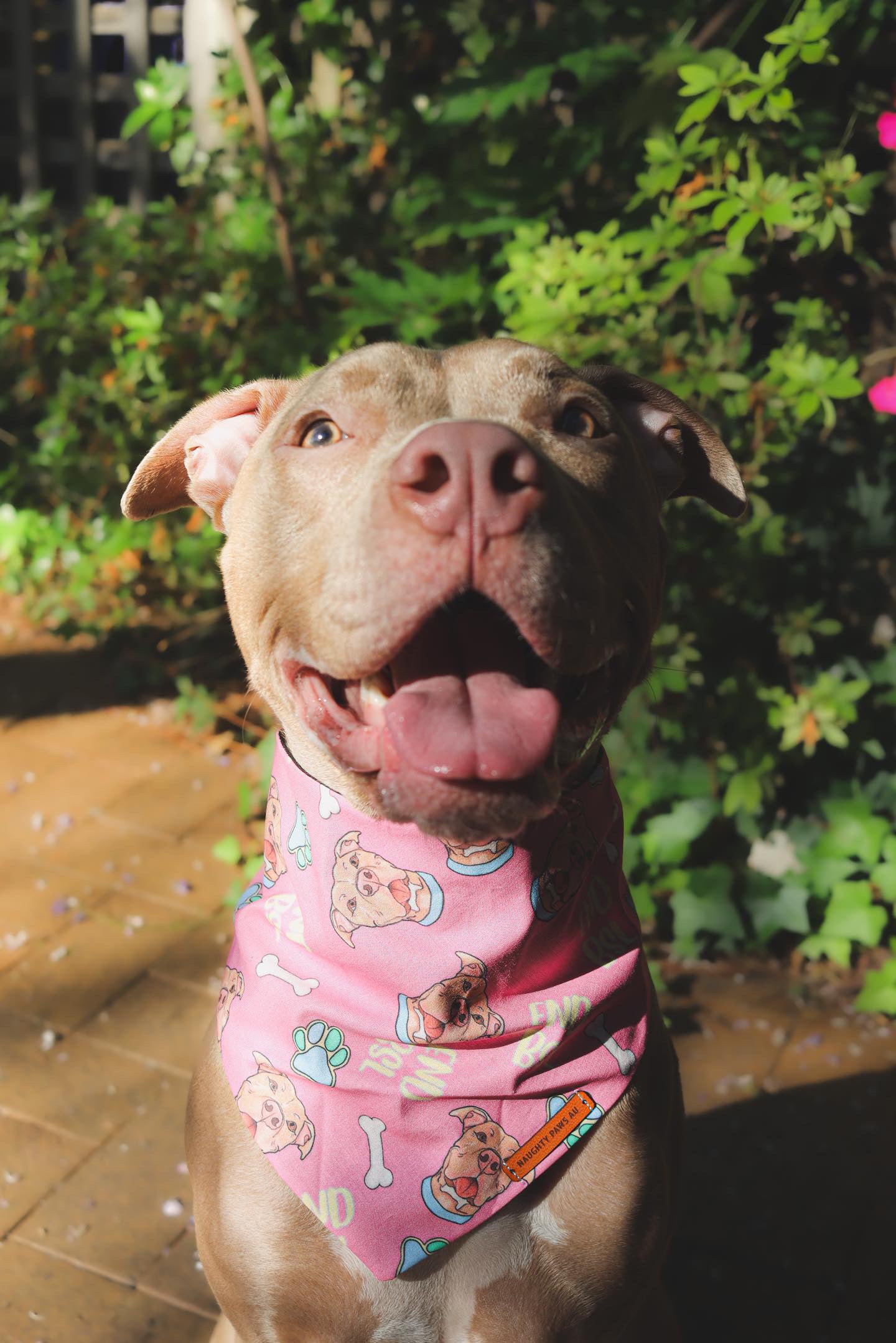 “END BSL" Pet bandana (PINK)
