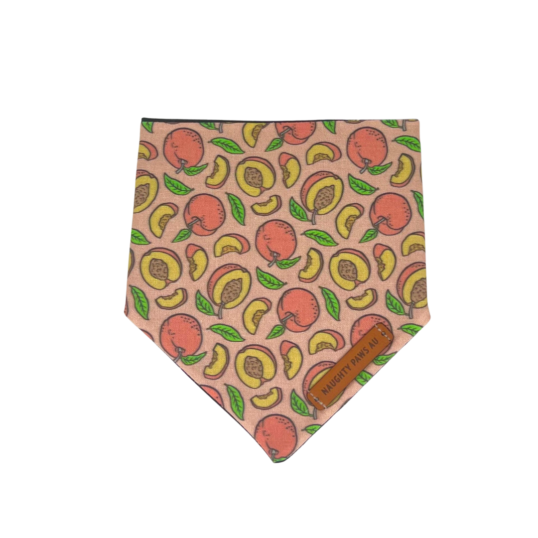 "Just Peachy" Pet bandana