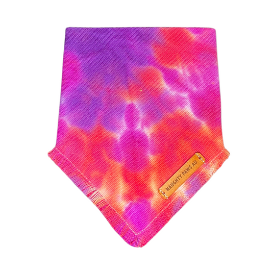"Storm" XXS Pet Bandana | 5/45
