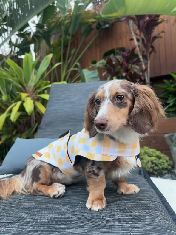 "Nonna's Tablecloth" Water Resistant Handmade Dog coat