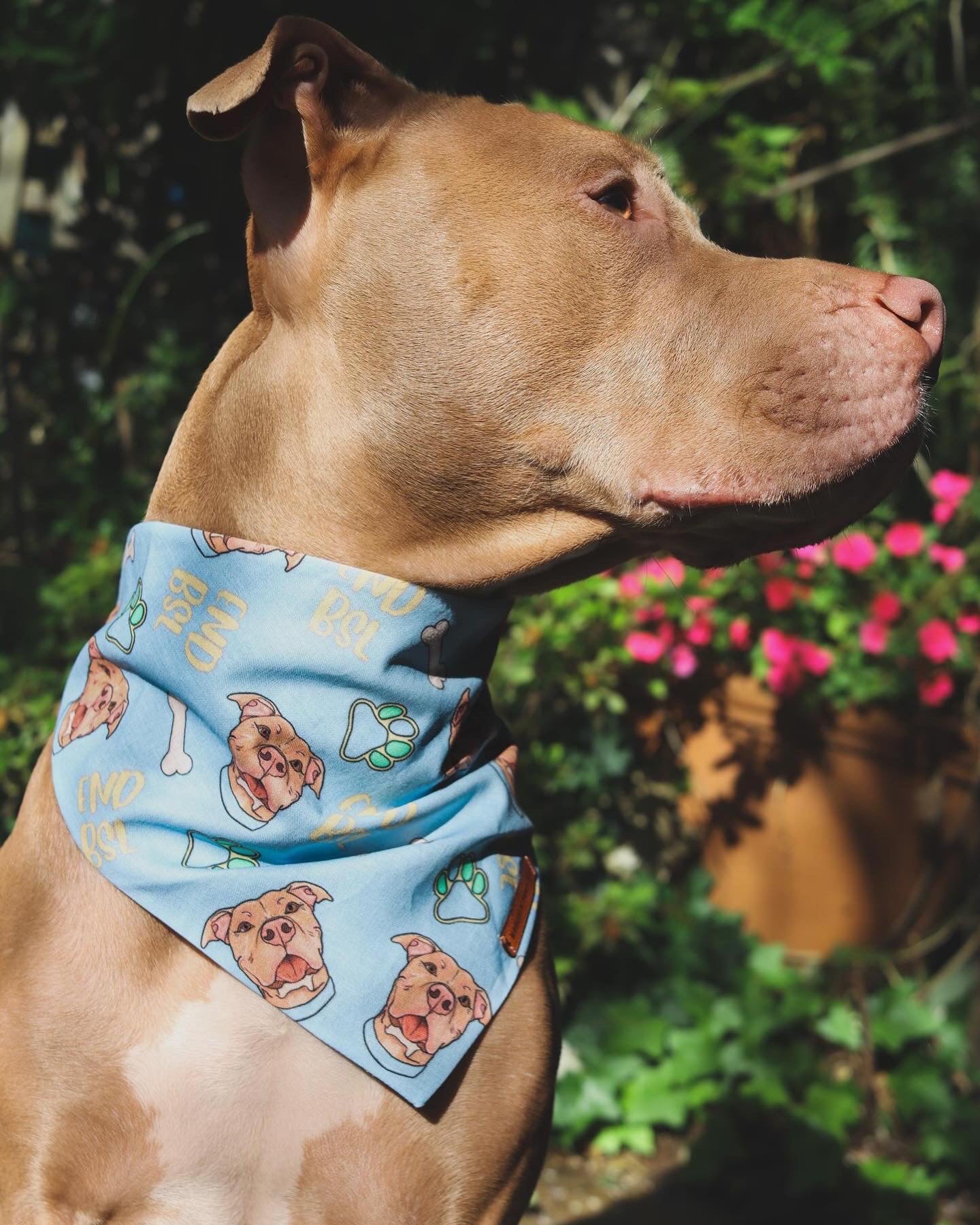 “END BSL" Pet bandana (BLUE)