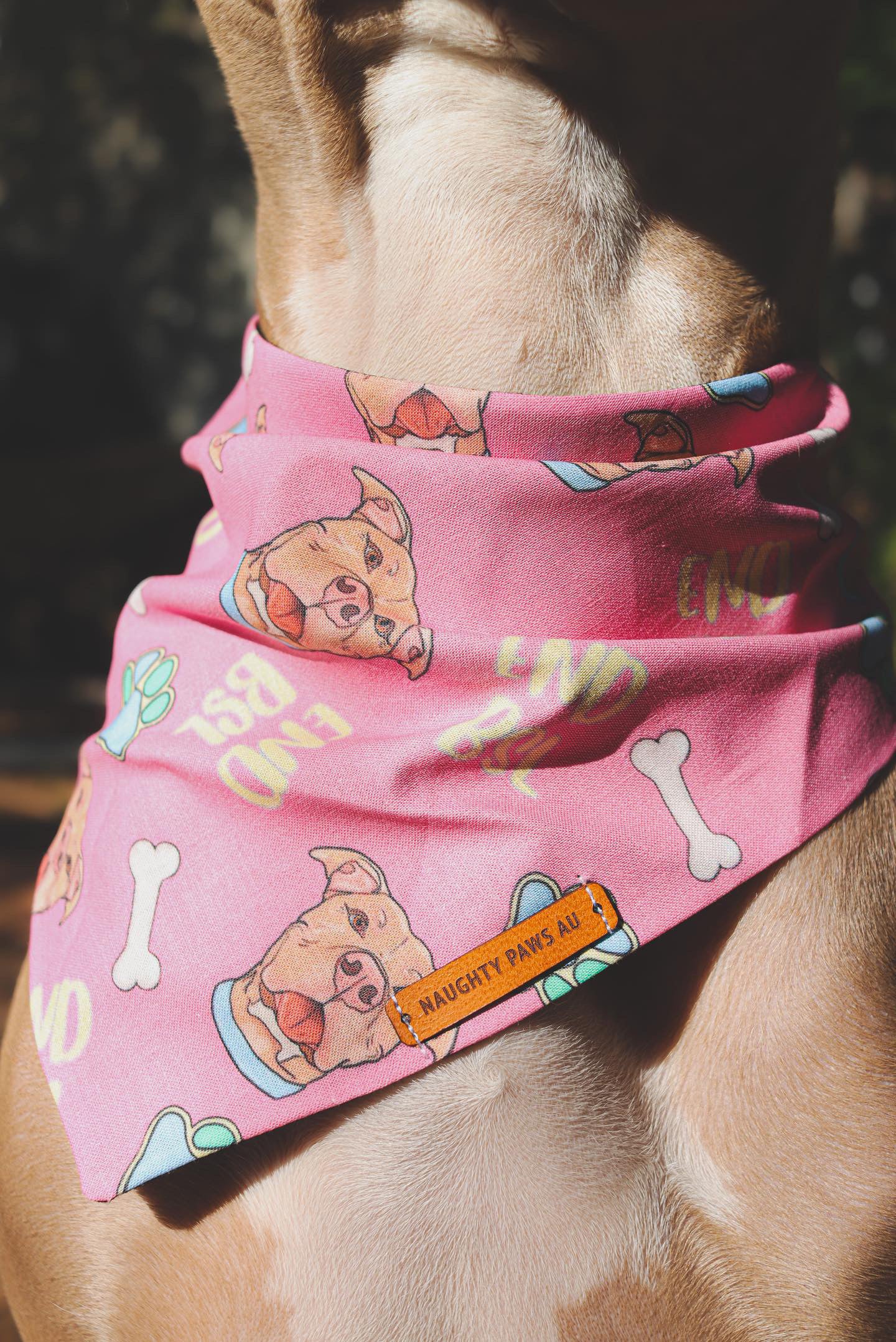 “END BSL" Pet bandana (PINK)