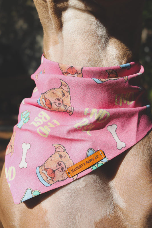 “END BSL" Pet bandana (PINK)