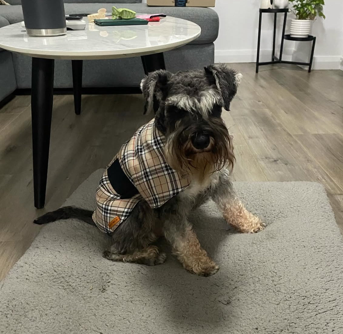 "Furrberry" Handmade Dog coat